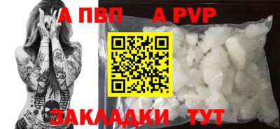 спиды Ярославль